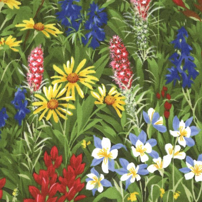 Wildflowers Basics - Summer