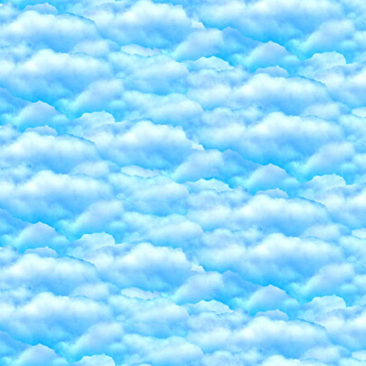 Natural Treasures II - Day Sky | Blank Quilting 8620-11