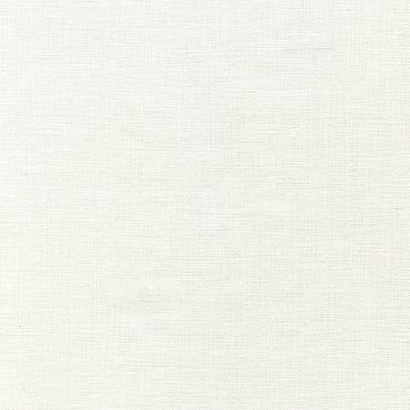 Whiteout - Sketch - White on White | Timeless Treasures C1714-WHITE