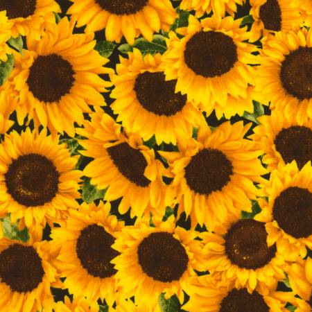 Sunny Days - Packed Sunflowers | Timeless Treasures C5253-SUNFLOWER