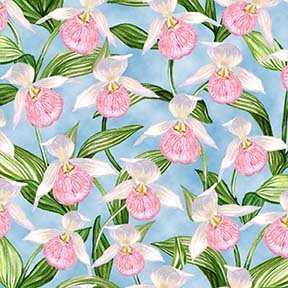 Minnesota State Flower Allover (Lady Slippers) - Blue - 2024 AMNSH | QT Fabrics 30214-B