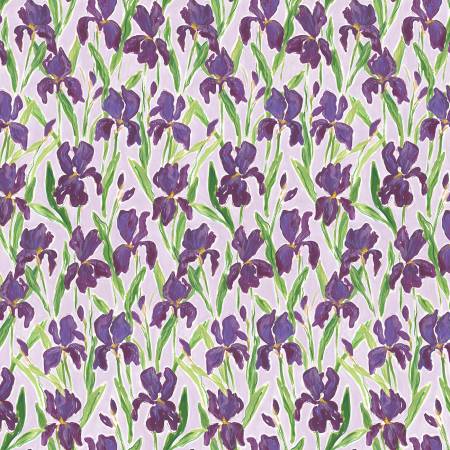 Mardi Gras Parade - Irises - Multi | Dear Stella Design DCWR2026MULTI