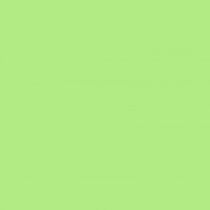 American Made Solid - Lime | Clothworks CLTAMB001-18